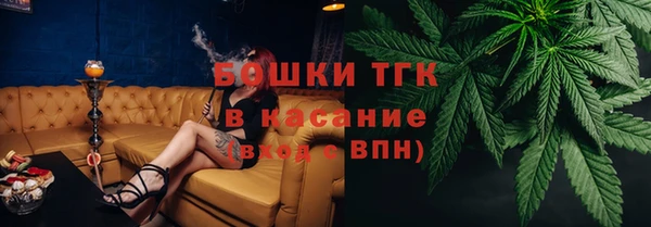 тгк Вяземский