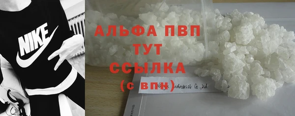 гидра Пестово
