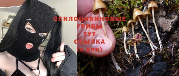 твердый Гвардейск