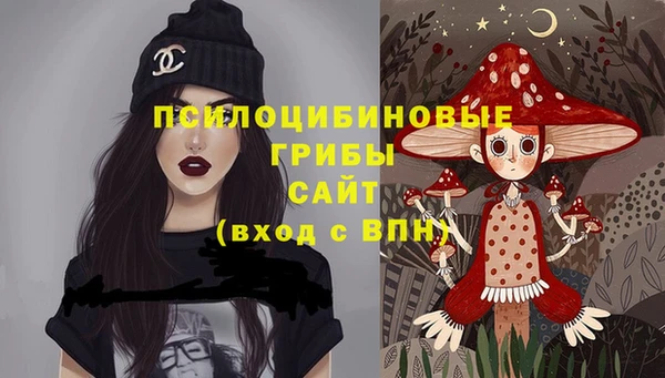 гашик Переславль-Залесский