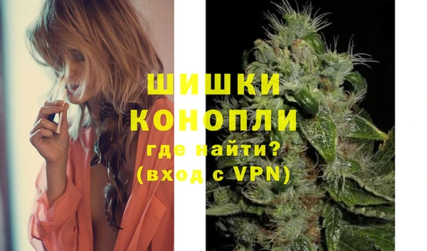 гидра Пестово