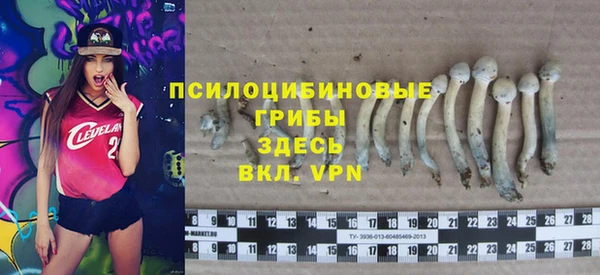 гидра Пестово