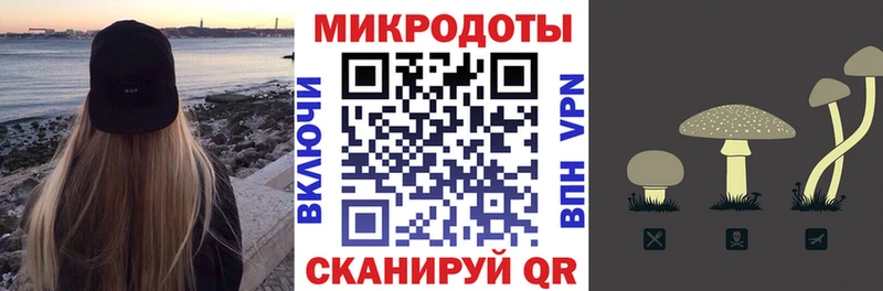 Галлюциногенные грибы Psilocybe  Балашов 