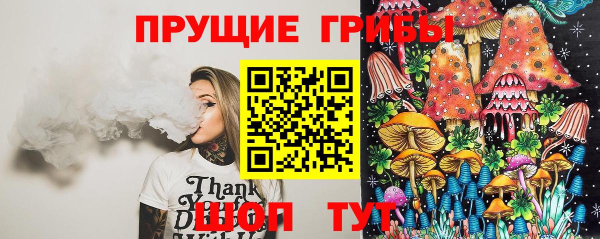 Галлюциногенные грибы Cubensis Балашов