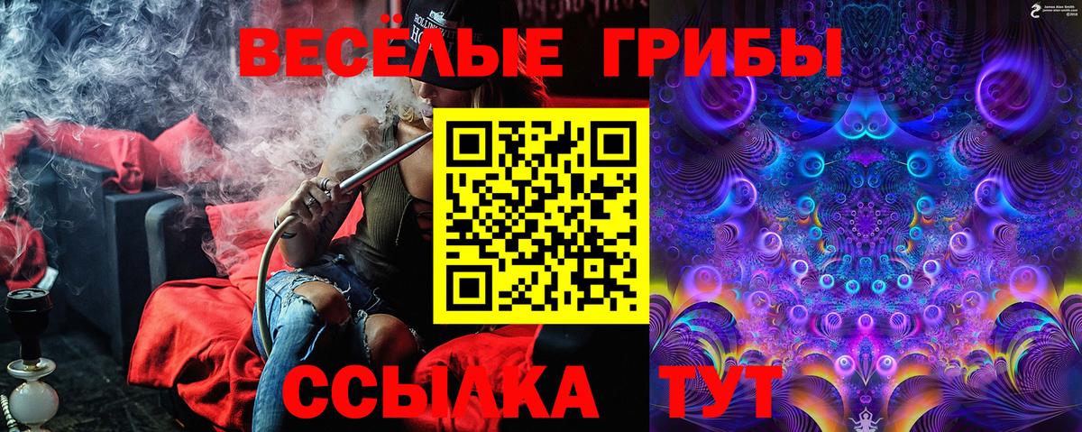 Кокаин  Марихуана  Меф кристаллы  COCAIN  Экстази  Балашов  ГАШ  LSD-25  Гашиш  Вход с VPN 
