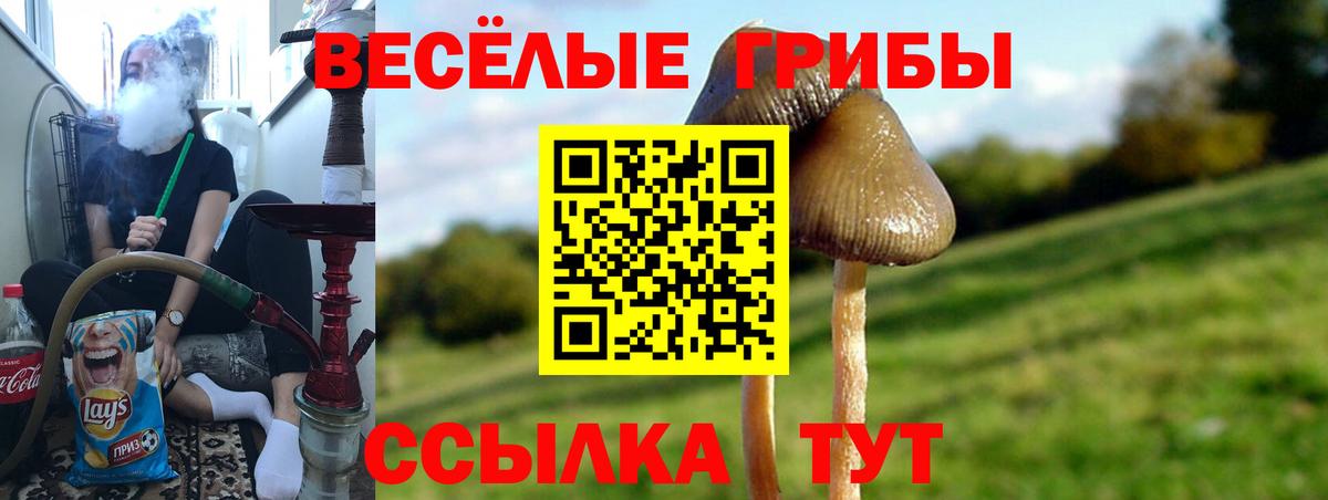 Псилоцибиновые грибы мухоморы  Вход с VPN  Балашов 